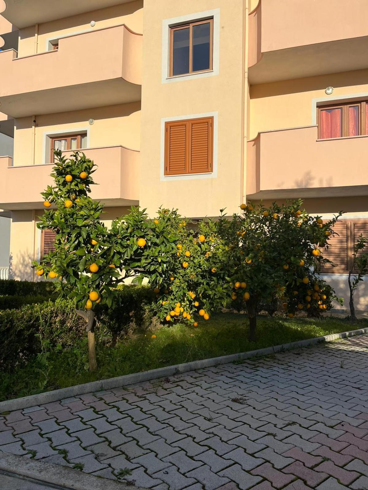 Villa Dei Limoni Škalngur Exteriér fotografie