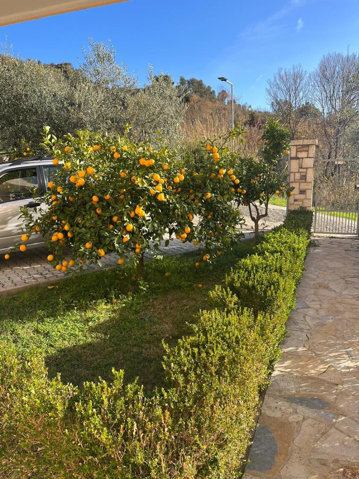 Villa Dei Limoni Škalngur Exteriér fotografie