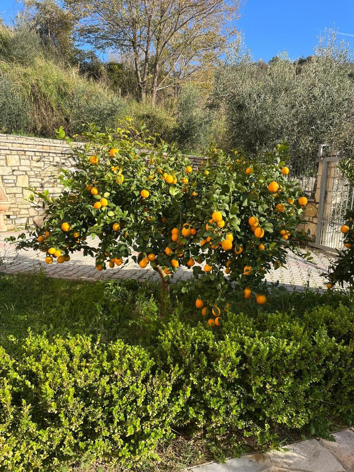 Villa Dei Limoni Škalngur Exteriér fotografie
